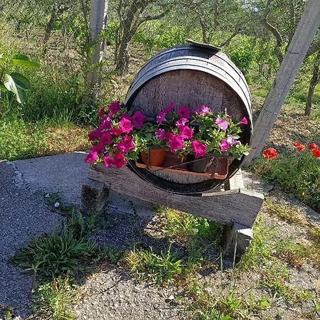 Macchia Dei Briganti - *
