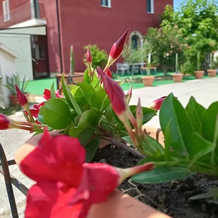 Macchia Dei Briganti -