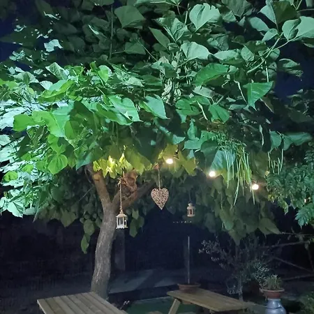 Macchia Dei Briganti - Bed & Breakfast Montefalcione