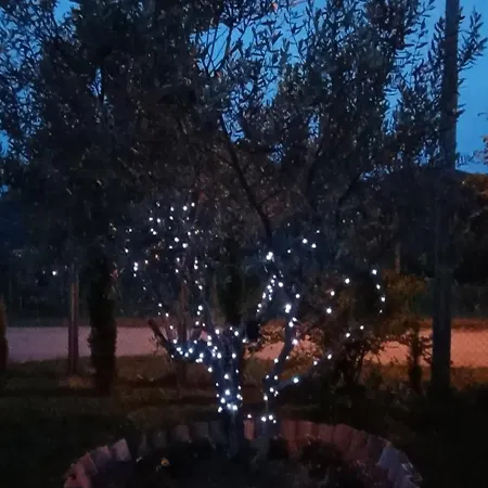 Macchia Dei Briganti - 3* Montefalcione